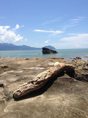 Voyage à Bornéo de la Famille de Martine