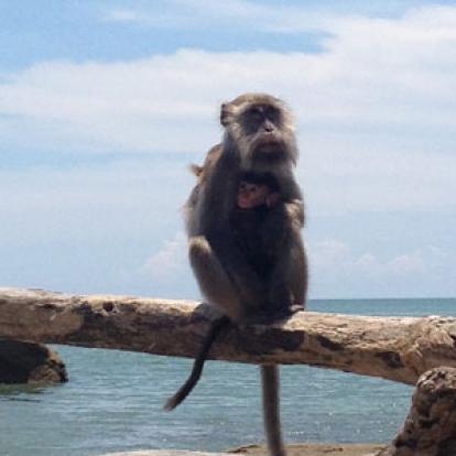 Voyage à Bornéo de la Famille de Martine