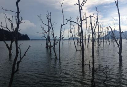 Voyage à Bornéo de la Famille de Martine