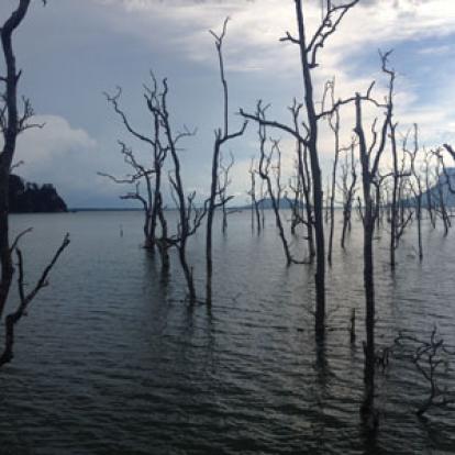 Voyage à Bornéo de la Famille de Martine