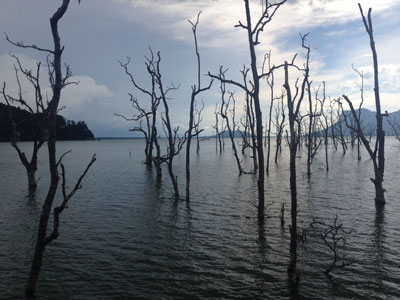 Voyage à Bornéo de la Famille de Martine