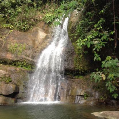 Voyage à Bornéo de la Famille de Martine