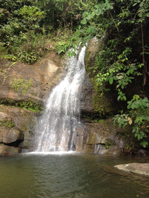 Voyage à Bornéo de la Famille de Martine