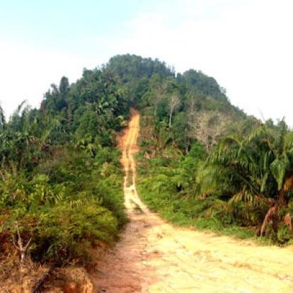 Voyage à Bornéo de la Famille d'Hervé