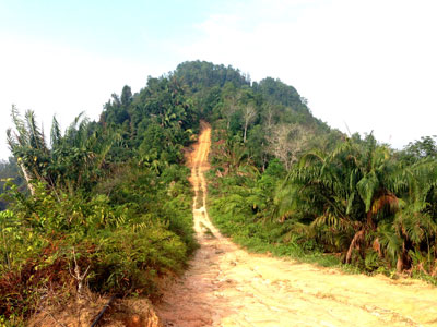 Voyage à Bornéo de la Famille d'Hervé