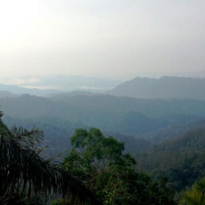 Voyage à Bornéo de la Famille d'Hervé