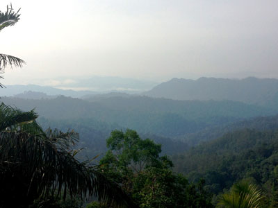 Voyage à Bornéo de la Famille d'Hervé