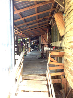 Voyage à Bornéo de la Famille d'Hervé