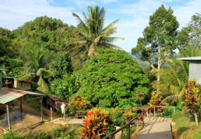 Voyage à Bornéo de Dominique