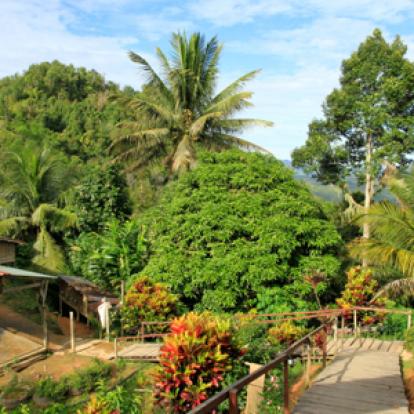 Voyage à Bornéo de Dominique