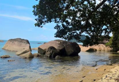 Voyage à Bornéo de Dominique