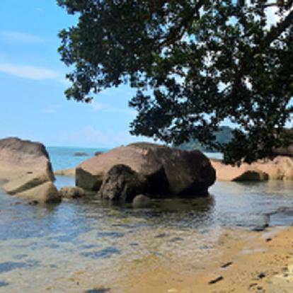 Voyage à Bornéo de Dominique