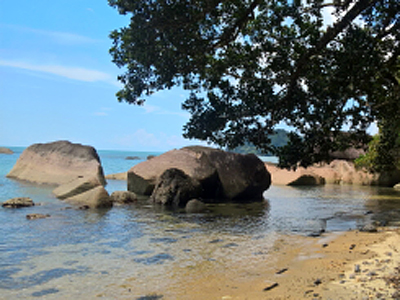 Voyage à Bornéo de Dominique