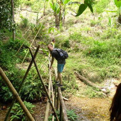 Voyage à Bornéo de Gérard