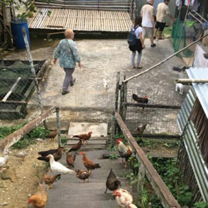 Voyage à Bornéo de Gérard