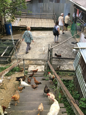 Voyage à Bornéo de Gérard
