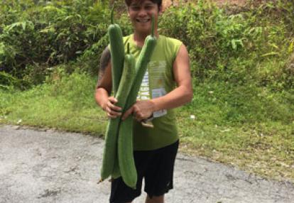 Voyage à Bornéo de Gérard