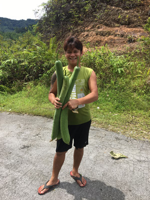 Voyage à Bornéo de Gérard