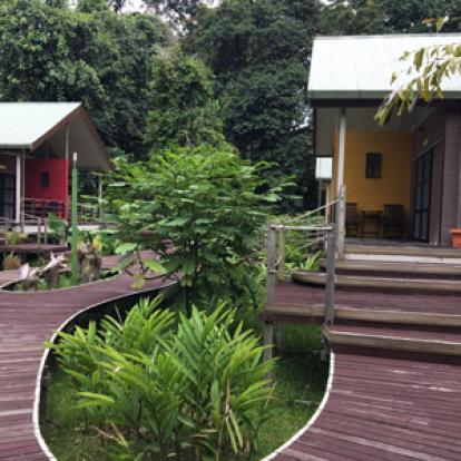 Voyage à Bornéo de Gérard