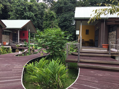 Voyage à Bornéo de Gérard