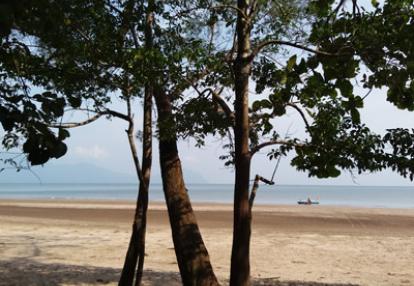 Voyage à Bornéo de la Famille d'Amélie