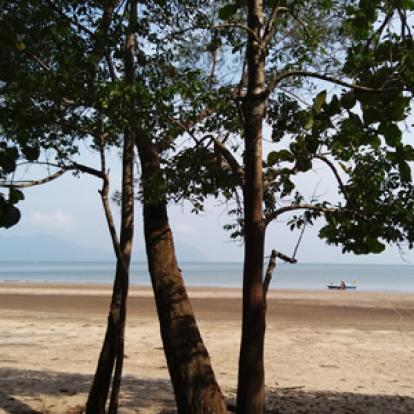 Voyage à Bornéo de la Famille d'Amélie