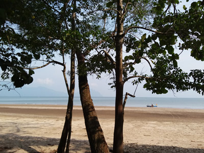 Voyage à Bornéo de la Famille d'Amélie