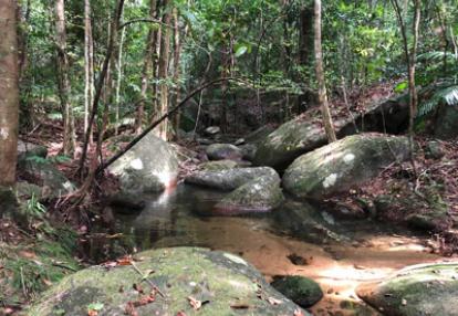 Voyage à Bornéo de Pascal et Titouan