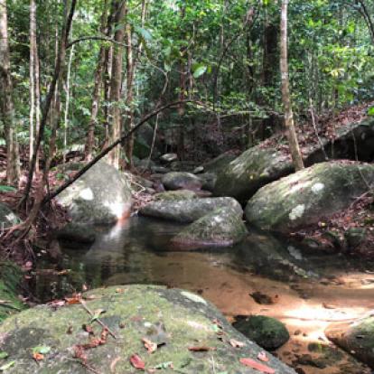 Voyage à Bornéo de Pascal et Titouan