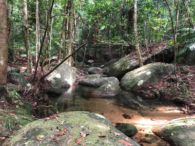 Voyage à Bornéo de Pascal et Titouan