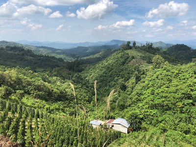Voyage à Bornéo de Pascal et Titouan