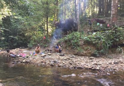 Voyage à Bornéo de Pascal et Titouan