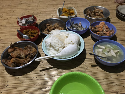 Voyage à Bornéo d'Emma et Sylvain