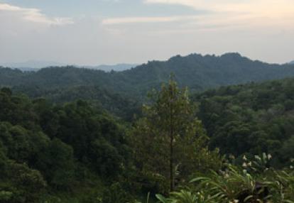 Voyage à Bornéo d'Emma et Sylvain