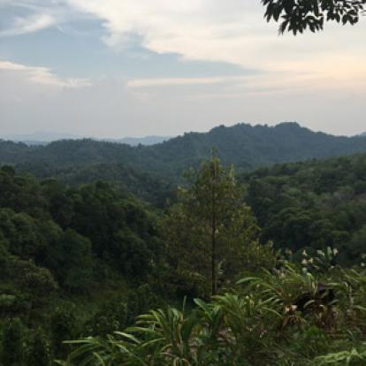 Voyage à Bornéo d'Emma et Sylvain