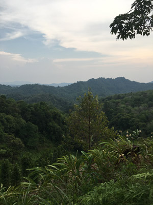 Voyage à Bornéo d'Emma et Sylvain