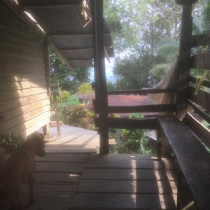 Voyage à Bornéo d'Emma et Sylvain