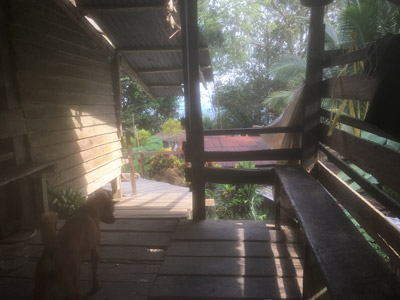 Voyage à Bornéo d'Emma et Sylvain