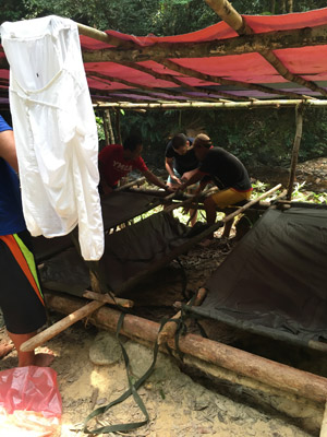 Voyage à Bornéo d'Emma et Sylvain