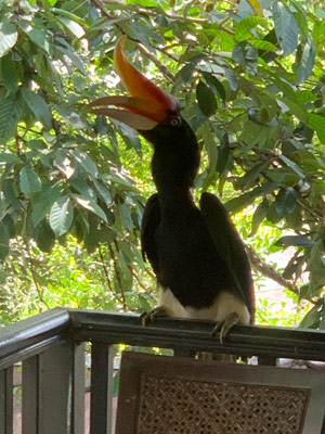 Voyage en Malaisie de  Patricia et Paul