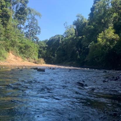 Voyage en Malaisie de  Patricia et Paul