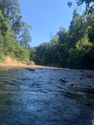 Voyage en Malaisie de  Patricia et Paul