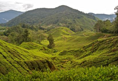 Voyage en Malaisie de Pierre
