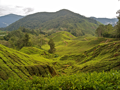 Voyage en Malaisie de Pierre
