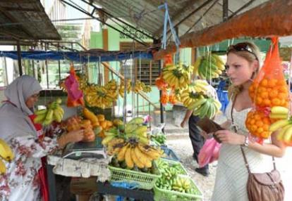 Voyage en Malaisie de Cécilia
