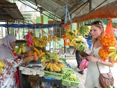 Voyage en Malaisie de Cécilia