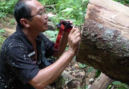Voyage en Malaisie de Cécilia