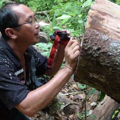 Voyage en Malaisie de Cécilia