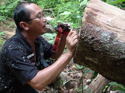 Voyage en Malaisie de Cécilia