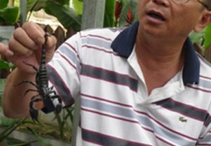 ©Mai L. - Tous Droits réservés Voyage en Malaisie de Mai L.